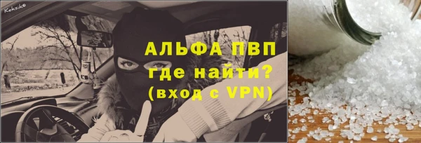индика Алагир