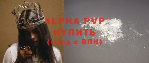 индика Алагир