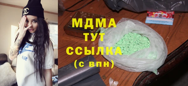 индика Алагир
