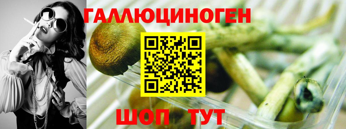 Астрахань  Псилоцибиновые грибы мицелий  цены наркотик  Вход с VPN 